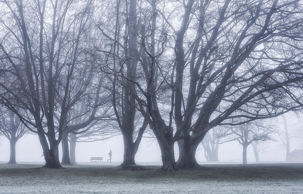 betwenen trees